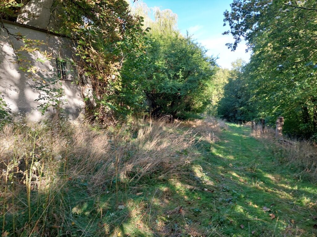 Weg_unten